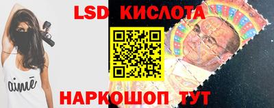 прущие грибы Камышлов