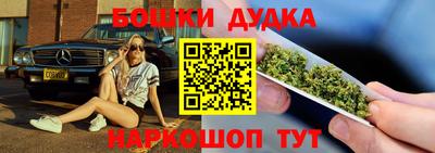 прущие грибы Камышлов