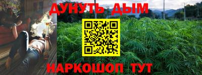 прущие грибы Камышлов
