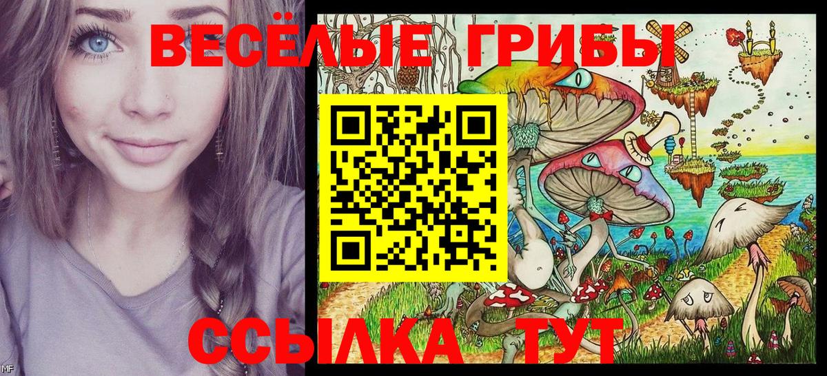 Галлюциногенные грибы прущие грибы Кувандык